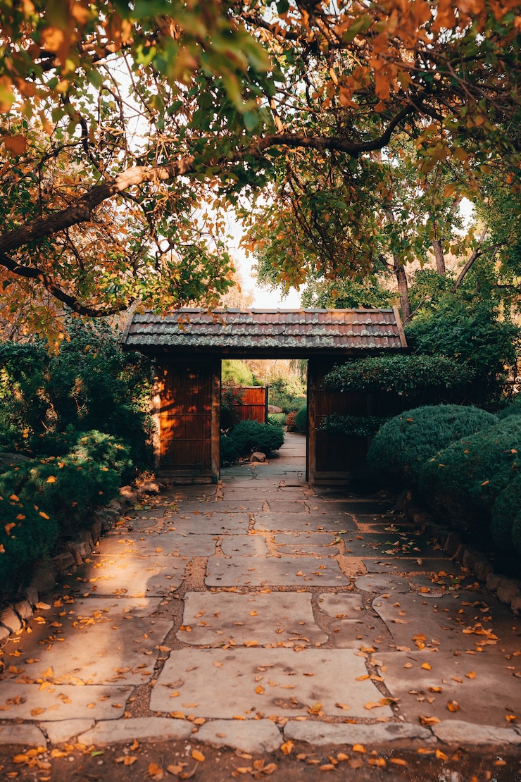 Kostenlose Foto wunderschöne aussicht auf die faszinierende natur in den traditionellen japanischen adelaide himeji gardens