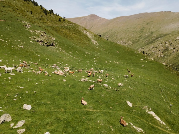 Kostenloses Foto wunderschöne berglandschaft