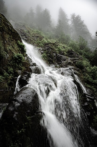 Wunderschöne Landschaft eines mächtigen Wasserfalls, umgeben von felsigen Klippen und Bäumen in Kanada