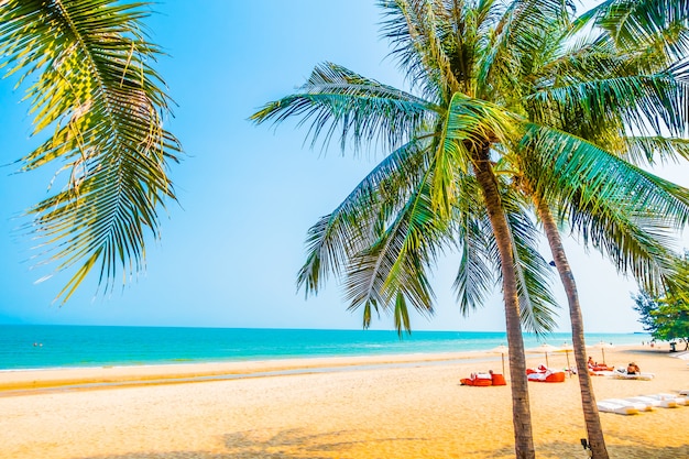 Kostenloses Foto wunderschöne palme am strand