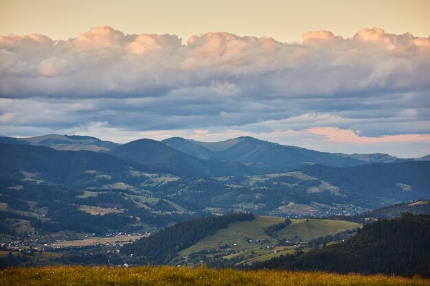 Wunderschöner nebliger Sonnenaufgang in den Karpaten, schöne Sommerlandschaft des Bezirks Volovets, lila Blumen auf grasbewachsenen Wiesen und bewaldeten Hügeln im Nebel