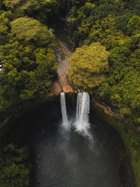 Wunderschöner Wasserfall, der in den Fluss fließt, umgeben von Grün