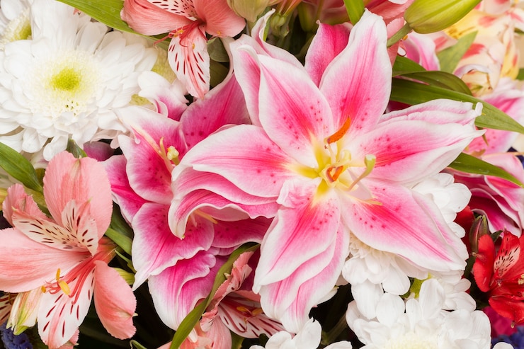 Kostenlose Foto wunderschönes arrangement von blumen hintergrund