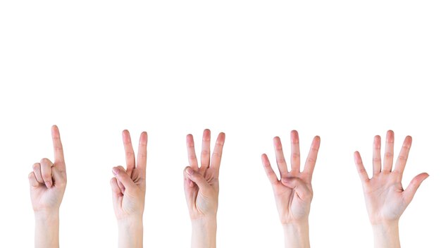 Zählen Hände von eins bis fünf auf weißem Hintergrund