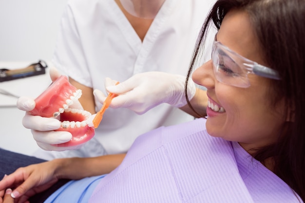 Zahnarzt, der weiblichen Patienten Modellzähne zeigt