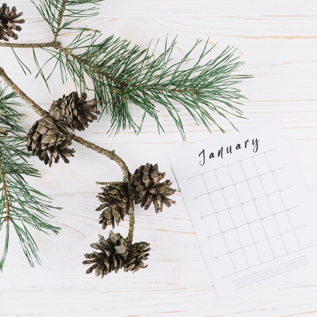 Zapfen mit Januar-Kalender auf dem Tisch