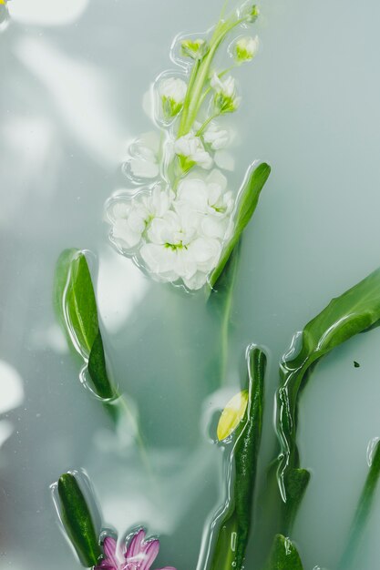 Zarte Blüten in Wasser