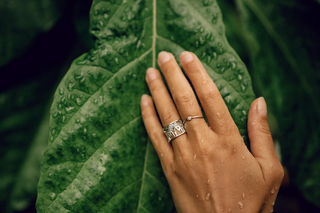 Kostenloses Foto zarte frauenhand mit ringen nahaufnahme