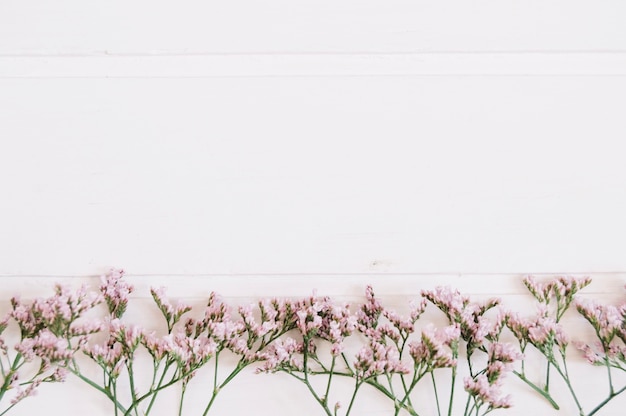 Kostenloses Foto zarte lila blumen auf einer reihe mit platz auf der oberseite