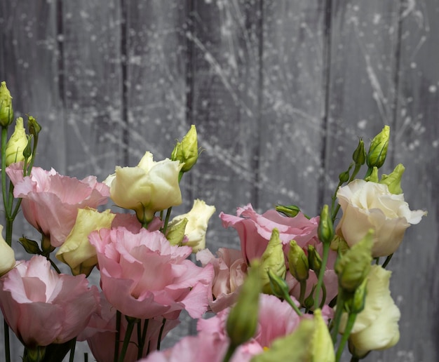 Zarte rosa blüten der eustoma- oder lisianthus-pflanze auf hellgrauem hintergrund Premium Fotos