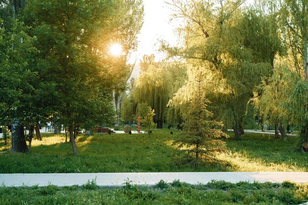 Zementwanderweg in einem schönen Park