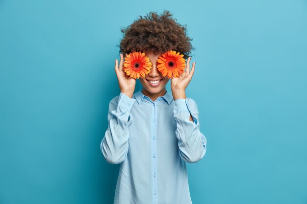 Ziemlich fröhliche Frau mit lockigem Haar bedeckt Augen hält orange Gerbera gekleidet in stilvollem Hemd lokalisiert über blaue Wand. Positive Floristin, die Dekor oder Blumenstrauß für besondere Anlässe macht