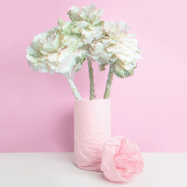 Zierkohl in einer Vase, eingewickelt mit rosa Papier auf rosa Wand