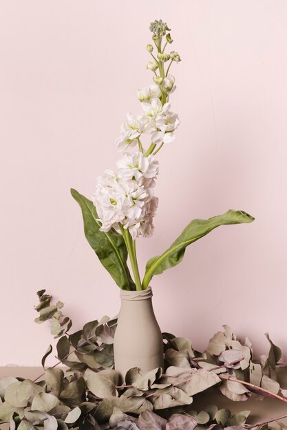 Zierpflanze in minimaler Vase