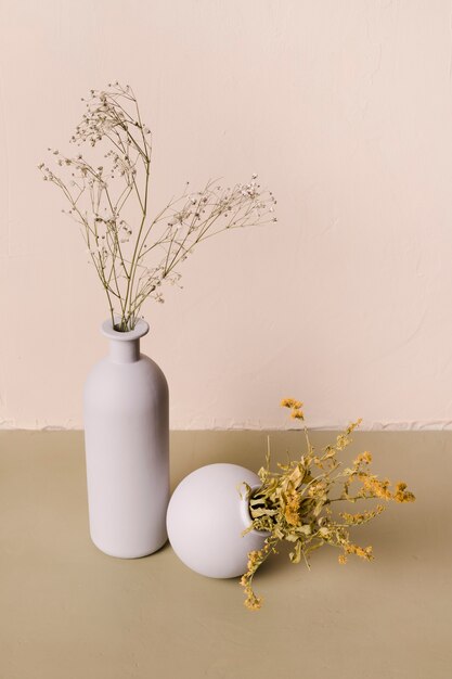 Zierpflanze in minimaler Vase
