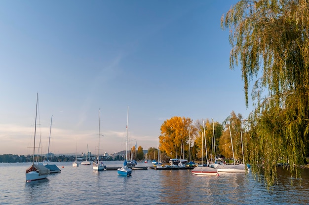 Zürich schweiz boote legen am späten nachmittag auf dem zürichsee fest