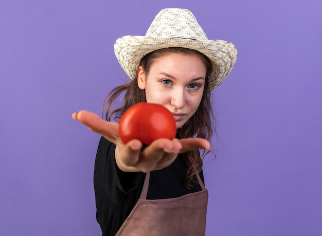 Zufriedene junge Gärtnerin mit Gartenhut, die Tomate isoliert auf blauer Wand hält