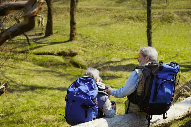 Zukunft planen. Alter Familienpaar von Mann und Frau im touristischen Outfit, das an grünem Rasen nahe an Bäumen und Bach an sonnigem Tag geht. Konzept von Tourismus, gesundem Lebensstil, Entspannung und Zusammengehörigkeit.