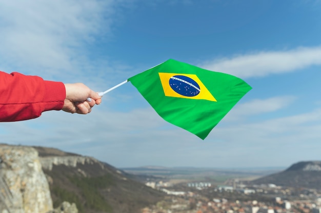 Kostenloses Foto zusammensetzung der brasilianischen flagge