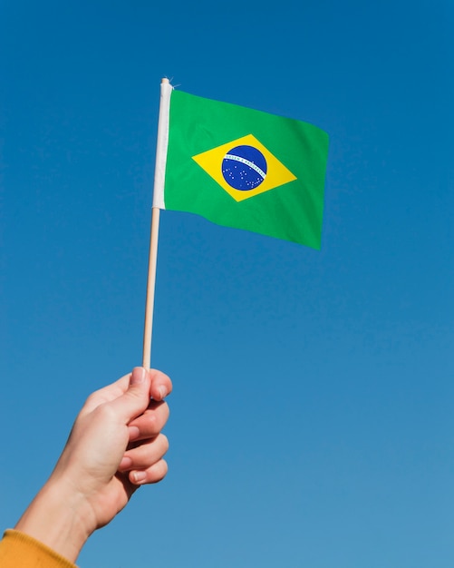 Zusammensetzung der brasilianischen Flagge