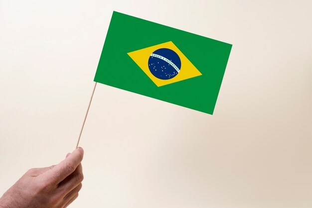 Zusammensetzung der brasilianischen Flagge