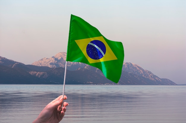 Zusammensetzung der brasilianischen Flagge