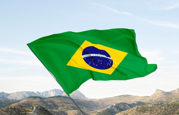 Kostenloses Foto zusammensetzung der brasilianischen flagge