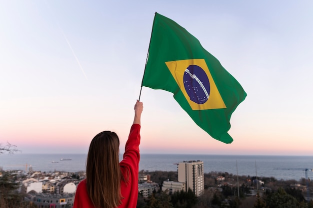 Zusammensetzung der brasilianischen Flagge