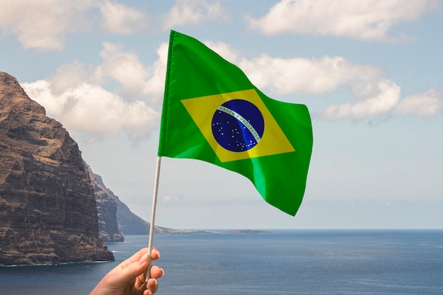 Kostenloses Foto zusammensetzung der brasilianischen flagge