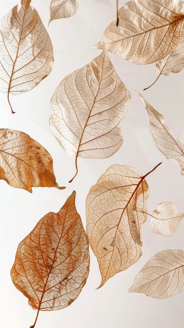 Kostenlose Foto zusammensetzung der herbstblätter