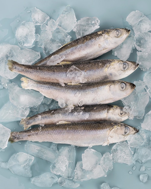 Zusammensetzung mit gefrorenem Fisch auf dem Tisch