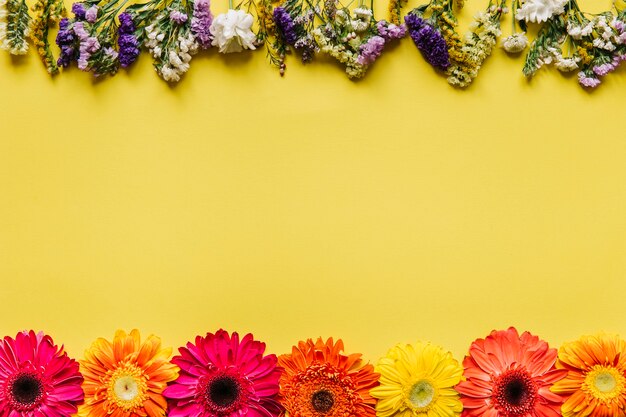 Zusammenstellung von Blumen auf gelbem Hintergrund