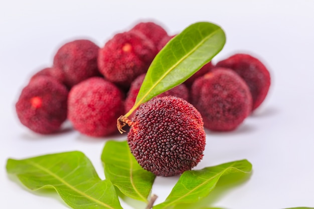 Zutat gesund frisch edulis natur