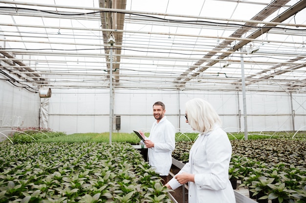 Zwei biologen arbeiten zusammen