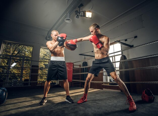 Zwei brutale sportliche Boxer haben im dunklen Fitnessstudio ein Sparring am Boxring.