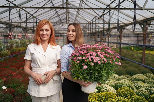 Zwei entzückende Damen, die mit einem Bündel rosa Chrysanthemen in einem schönen blühenden Gewächshaus mit Glasdach aufwerfen.