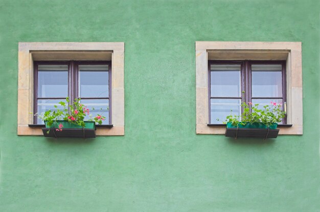 Zwei Fenster in einer grünen Wand