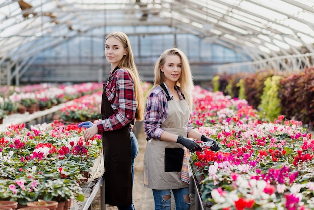 Zwei Frauen, die sich um Blumen kümmern