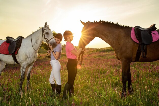 Zwei Frauen und zwei Pferde im Freien im Sommer glücklicher Sonnenuntergang zusammen Natur