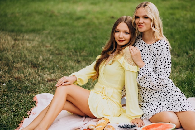 Zwei Freundinnen, die Picknick im Park haben