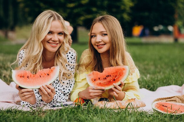 Zwei Freundinnen, die Picknick im Park haben