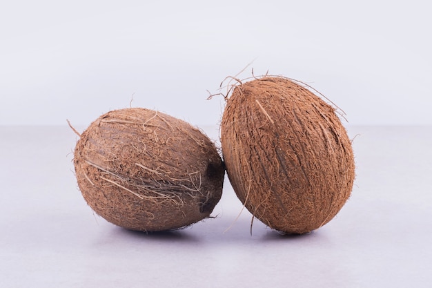 Zwei große, braune Kokosnüsse auf Weiß