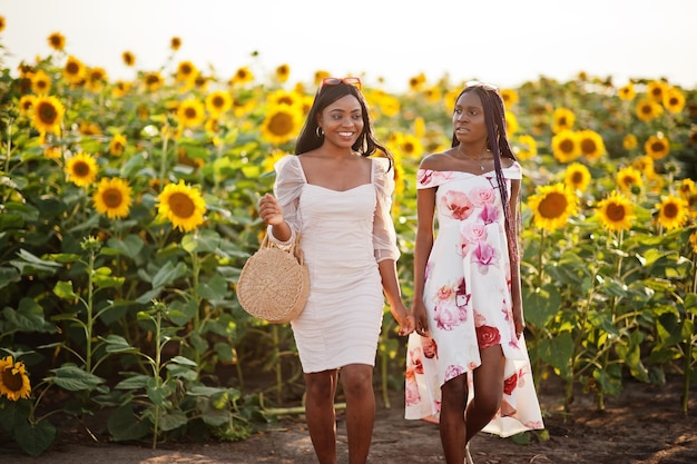 Zwei hübsche junge schwarze Freundinnen tragen Sommerkleider in einem Sonnenblumenfeld