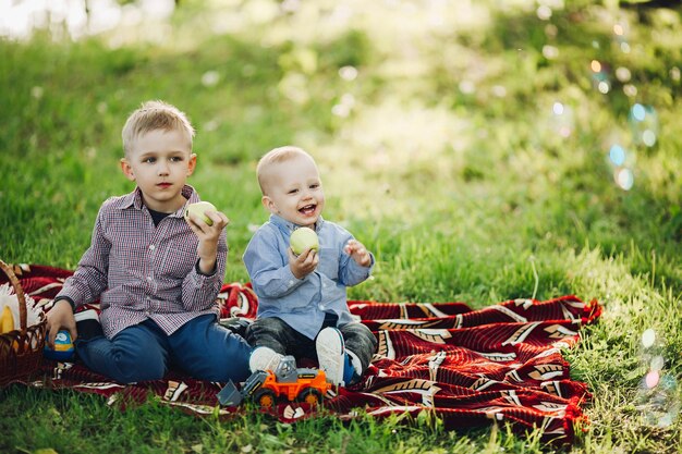 Zwei kleine Brüder, die Jeans und karierte Hemden tragen, sitzen und essen Apfel im Park Jungen, die unter grünem Gras glücklich lächelnd und wegschauend tragen Konzept der Kinder