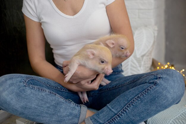 Bilder Suesse Tierbabys Gratis Vektoren Fotos Und Psds