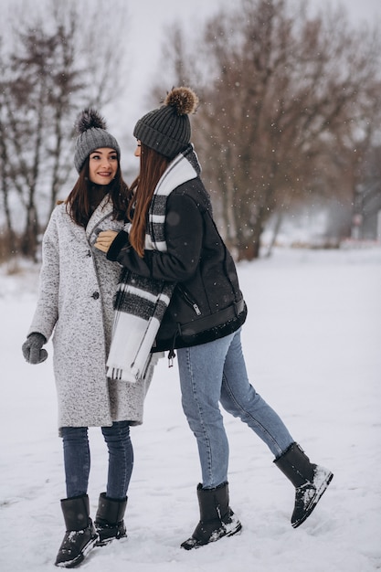 Zwei Mädchen, die zusammen in einen Winterpark gehen