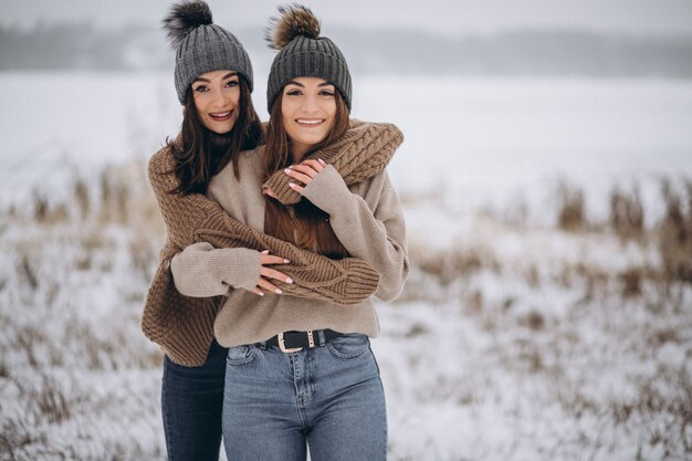 Zwei Mädchen, die zusammen in einen Winterpark gehen