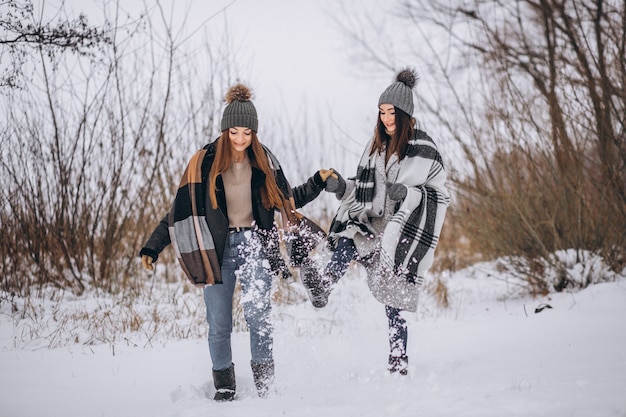 Zwei Mädchen, die zusammen in einen Winterpark gehen