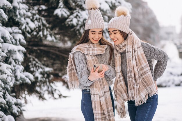 Zwei Mädchenzwillinge zusammen im Winterpark