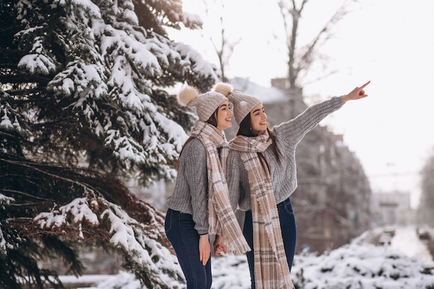 Zwei Mädchenzwillinge zusammen im Winterpark